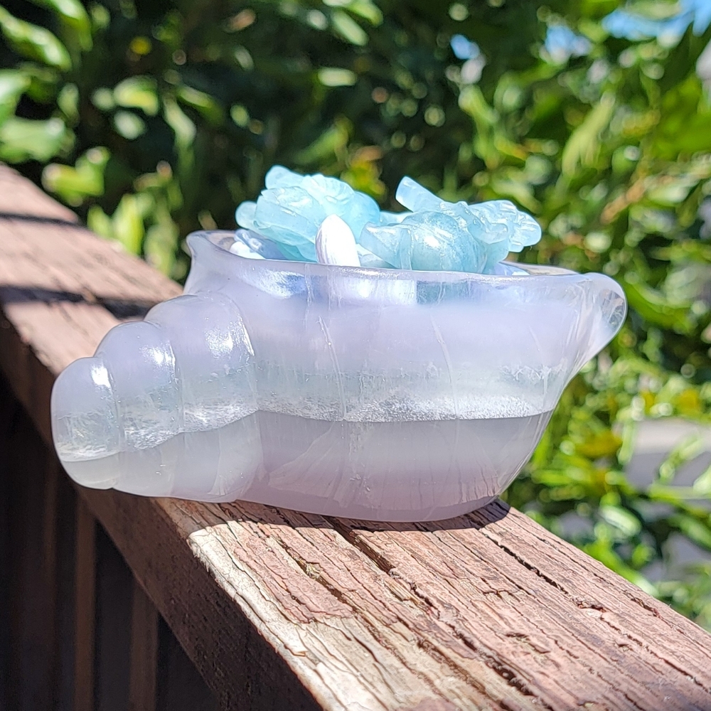 NEW 5.5" x 2" PASTEL FLUORITE SHELL BOWL